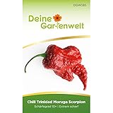 Chili Trinidad Moruga Scorpion Samen - Capsicum chinense - Chilisamen - Gemüsesamen - Saatg