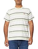 Levi's Mens SS Original HM Tee T-Shirt, Sun Fade Stripe Almost Aqua, XL