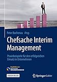 Chefsache Interim Management: Praxisbeispiele für den erfolgreichen Einsatz in U