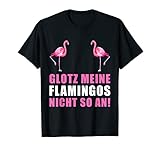 Glotz meine Flamingos nicht so an! T-S