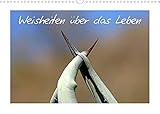 Weisheiten über das Leben (Wandkalender 2022 DIN A3 quer) [Calendar] Kaiser, Ralf [Calendar] Kaiser, Ralf [Calendar] Kaiser, R