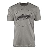 Darwin Evolution-Serie Schweinswal T-Shirt für Herren in Bester Q