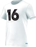 adidas Herren DFB Das Lifestyle Graphic Tee der Deutschen Nationalmannschaft T-Shirt, Grau/Grün, L