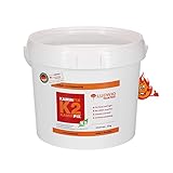 Schamottemörtel Made in Germany für die einfache und schnelle Reparatur. Ofen und Kaminmörtel Feuerfester Mörtel Feuerbeton Kaminfix K2 (4kg Eimer)