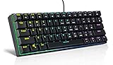 HUICCN 60% Mechanische Gaming-Tastatur, USB-C 61 Tasten RGB-Hintergrundbeleuchtung Verkabelt Tastatur mit Clicky Optical Switch für PC-Gamer und Arbeiten (Schwarz)