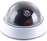VisorTech Kamera Attrappe: Dome-Überwachungskamera-Attrappe mit durchsichtiger Kuppel und LED (Alarm Dummy)