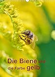 Die Biene und die Farbe gelb (Wandkalender 2022 DIN A3 hoch) [Calendar] Bangert, Mark