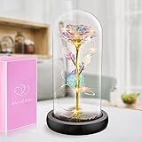 Gomyhom Ewige Rose, Rose Im Glas Mit Licht, Geschenke für Frauen, Rose Home Decorations, Personalisierte Geschenke für Mama Oma Frauen Freundin Valentinstag Geburtstag, Geburtstagsgeschenk für F