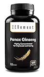 Panax Ginseng 2375 mg, 50 mg Ginsenosiden, 120 Kapseln | Verbessert die Konzentration, das Gedächnis und die sportliche Ausdauer | 100% Natürlich, Vegan | von Z
