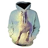 OYXZEXQW Aquarell Pferd Junge Mädchen 3D-Druck Casual Pullover Hoodie Kapuzen-Sweatshirt Top