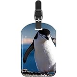 Gepäckanhänger Pinguin in der Antarktis Leder Reise Kofferetiketten 1 Packung