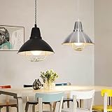 ADSVMEL Aluminiumlegierungs-Pendelleuchte, topfförmiger Metalllampenkörper mit Kunststofflampenschirm, E27-Lampenhalter, moderne und einfache hängende Lichter for Bauernhaus, Restaurant (ohne Birne) (