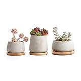 T4U Zement Sukkulenten Töpfchen mit Untersetzer Rund 3er-Set, Beton Mini Blumentopf für Kaktus Miniaturp