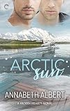 Arctic Sun: A Gay Romance (Frozen Hearts Book 1) (English Edition)