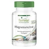 Magnesium Kapseln - HOCHDOSIERT - 100mg elementares Magnesium pro Kapsel - aus Magnesiumcitrat - VEGAN - 120 Kap