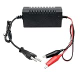 Baceyong Spielzeugauto-Ladegerät, 12V 1A Vierrad-Spielzeugmotorrad intelligentes Blei-Säure-Ladegerät, EU-Steck