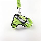 LQDMDM Einstellbares Hunde- Und Katzengeschirr Mit Leine Reflektierend Und Atmungsaktiv Für Kleine Und Große Hundegeschirre Weste Heimtierbedarf,Grün,M