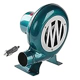 DBGA Gebläse, Schmiede Gebläse, 12V Elektrisches DC Außengebläse, Schmiedegebläse für Camping, Picknick - 30W/40W/60W/80W/100W