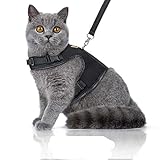 Bella & Balu Katzengeschirr inkl. Leine – ausbruchssicheres und Robustes Brustgeschirr mit weichem Innenfutter und atmungsaktivem Mesh - Für den sorgenfreien Gassigang (M, Schwarz)