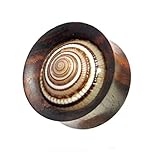 CHICNET Damen Herren Ohr Plug Flesh Tunnel Piercing Dehner aus Holz und Sonnenuhrschnecke Muschel, Double Flared, Handarbeit, 4mm bis 22