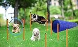 Agility-Ausrüstungs Set für Hunde, Agility für Hunde, Agility Set, Ausrüstung für den Agility-Kurs für Hunde, Starter-Kit für das Agility-Training für Dog, Hindernisse mit Hundetunnel, Hunde Training