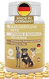 NATUREFLOW Vitamin B Komplex Hund Made in Germany - Hochdosierte B Vitamine für Hunde ab 15kg - 120 Vitamintabletten - Ergänzt um K3, Folsäure, Calcium und Biotin für H