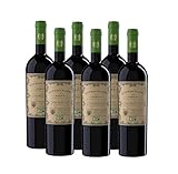 Doppio Passo Primitivo BIO, Rotwein Italien (6 x 0,75l)