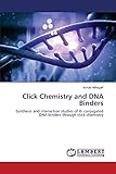Click Chemistry and DNA Binders: Synthesis and interaction studies of π- conjugated DNA binders through click chemistry: Synthesis and interaction ... DNA binders through click chemistry