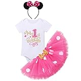 FYMNSI Baby Mädchen Mein 1. Geburtstag Outfit Maus Kostüm Gepunktet Tütü Rock Baumwolle Kurzarm Body Strampler mit Ohr Stirnband 3tlg Bekleidungsset Fotoshooting Sommer R