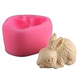 Osterhase Silikon Form, 3D-Osterhase-Form-Kuchen-Deko-Fondant aus Silikon, Süßigkeit Schokolade Pudding Eiscreme Fondant Mousse Mold - DIY Dekoration Backen-Werkzeug