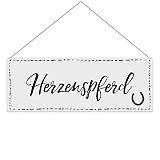 Türschild mit Pferdespruch - Herzenspferd - Wetterfestes Metallschild für außen - Geschenk für die Pferdebesitzerin - Querformat 24 x 9 cm,