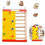 NganSuRong Hölzerner Hamster-Kletterleiter bunte Treppenkäfig Spielzeug Haustier Maus Papagei Chinchilla Streifenhörnchen Rennmäuse Nagetiere Ratten Spielen Übung