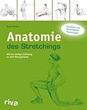 Anatomie des Stretchings: Mit der richtigen Dehnung zu mehr Beweglichk
