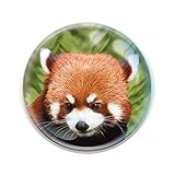 Deluxebase Magnidome - Roter Panda Panda Kristallglas Kühlschrank Magnet für Kinder. Hervorragende gewölbte Magnete für Wohndekoration und Zubehö