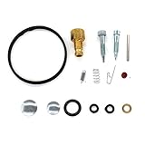 AISEN VERGASER REPARATURSATZ DICHTUNG KIT PASSEND FÜR TECUMSEH 632622 632347 632242 HM70 HM80 HM90 HM100 HH100 OHM120 OHSK120 OHV125 OVM120 OXVL120 TVM170 TVM195 TVM220