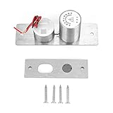 Elektrischer Riegel, Sicherheitszugangsschloss Smart Door Latch DC12V Anti-Interferenz-Türschloss für Brandschutztü