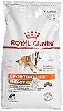 ROYAL CANIN Hundefutter Sport Life Trail 15 kg, 1er Pack (1 x 15 kg)