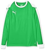 PUMA Kinder Liga Torwart Trikot, grün (Bright Green/PUMA White), 140