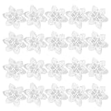 Heiqlay Weißes Spitzenband, Spitzenborte Perle, blumenspitzenband, Spitzenstoff weiß, Gesticktes Nähband für Crafts DIY Dekoration (1 m, 20 Blumen)