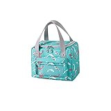 HuaShslt 7 Farbe wasserdichte isolierte Lunch Tasche Damen und kindertasche isoliert Essen Outdoor tragbar Picknick Box japanische picknicktasche freather (Color : G)