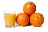 FRUCHTVERSAND24® Orangen, Saftorangen, Inhalt: 15kg, Ideal zum auspressen, süß saftig lecker, das Original, Qualität vom F