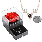 Für Immer Rose Ewige Blumen und 925-Sterling Silber vergoldete Halskette Ich Liebe Dich in 100 Sprachen Geschenke für Frauen Muttertag Valentinstag Geburtstag (Rot)