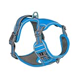 YMXDHZ Reflektierende Nylon Haustier Hund Hurness Hund gepolsterte Weste Einstellbare Brustgurt Sicherheitsleitungen Alle Weather for große mittelgroße kleine Hunde (Color : Blue, Size : L)