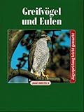 Greifvögel und E