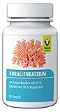 Raab Vitalfood Korallenkalzium-Kapseln aus Sango-Korallen, 80 Stück, hochdosiert, laborgeprüft, glutenfrei, natürliche Quelle mit 20% Calcium und 10% Magnesium, Kalzium, 1er Pack (48 g)