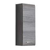 trendteam smart living Skin Badezimmer Hängeschrank Wandschrank, Sardegna Stauraum, Front und Korpus Rauchsilber, 30 x 77 x 24