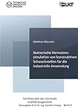 Numerische Korrosionssimulation von konstruktiven Schwachstellen für die industrielle Anwendung