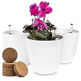 ZENAKIO - Selbstwässernder Blumentopf Set 3-TLG. Mit Wasserspeicher incl. 6 Kokos-Quelltabs Schwarz - selbstbewässerungstopf, blumentöpfe S