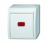 Busch-Jaeger BUSC Kontrollwechselschalter 2601/6 SKW-54, 250 V