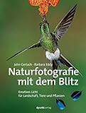 Naturfotografie mit dem Blitz: Kreatives Licht für Landschaft, T